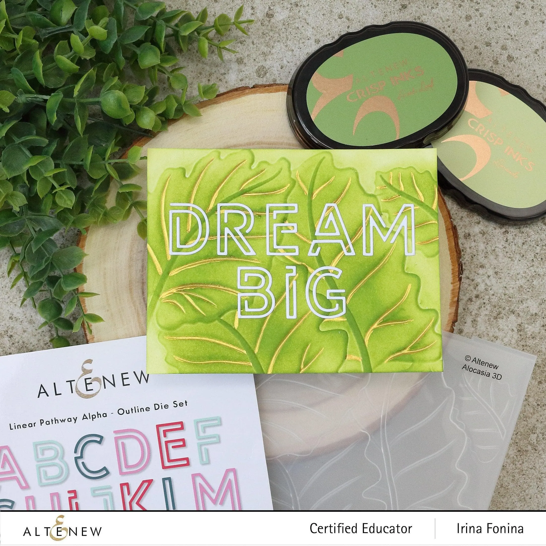 Alocasia 3D Embossing Folder