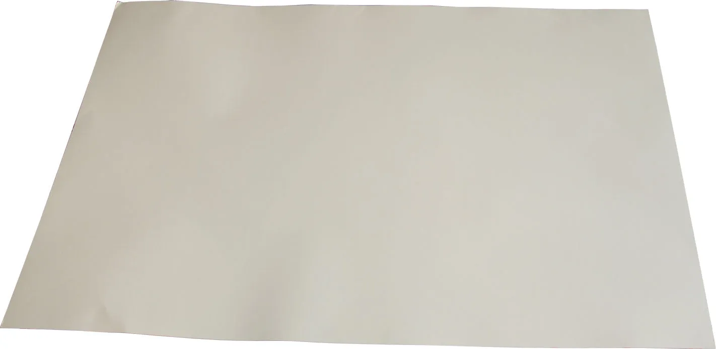 Bristol Board (70x100)cm - Chart Paper - Green