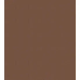 Colorline Paper Sheets 8.5in x 11in 150gsm Nut