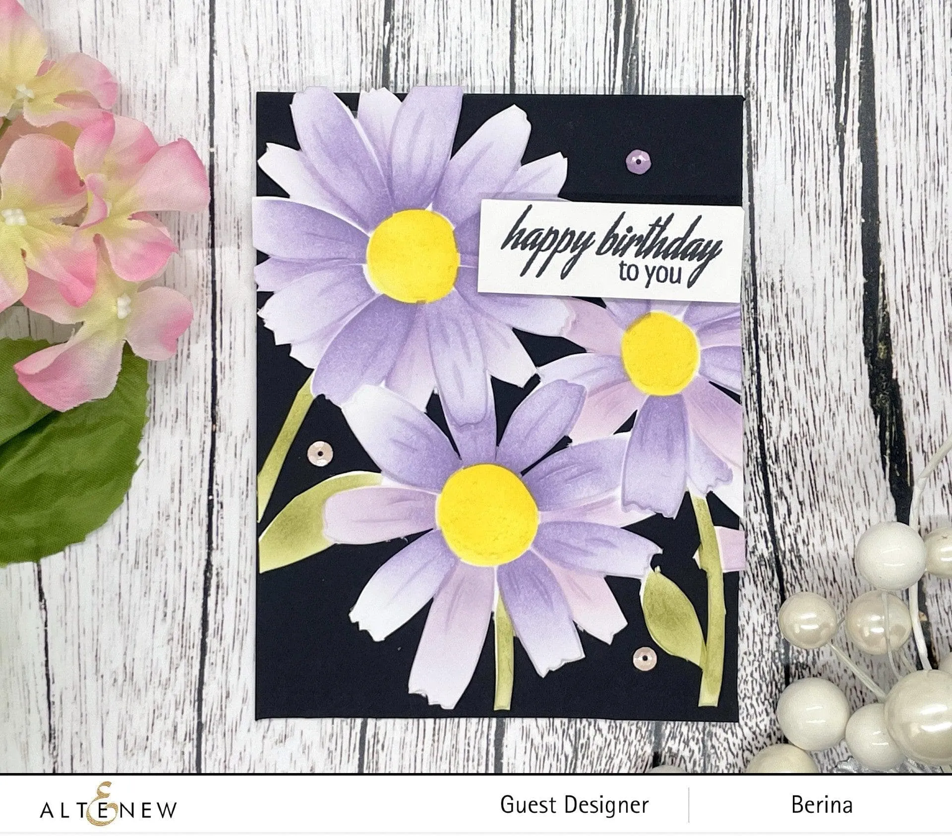 Daisies