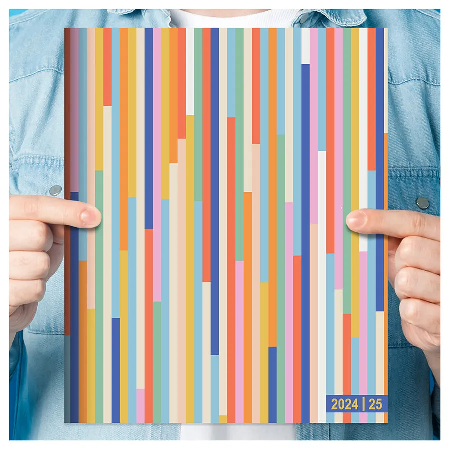 **FINAL SALE** July 2024 - June 2025 So Many Stripes Large Monthly Planner