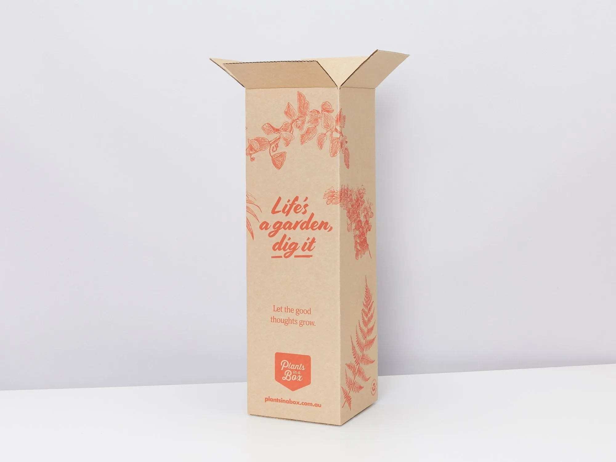 Hoya Krimson Princess Gift Box Set