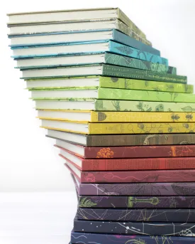 Hypothesis Mystery Notebook 6-pack