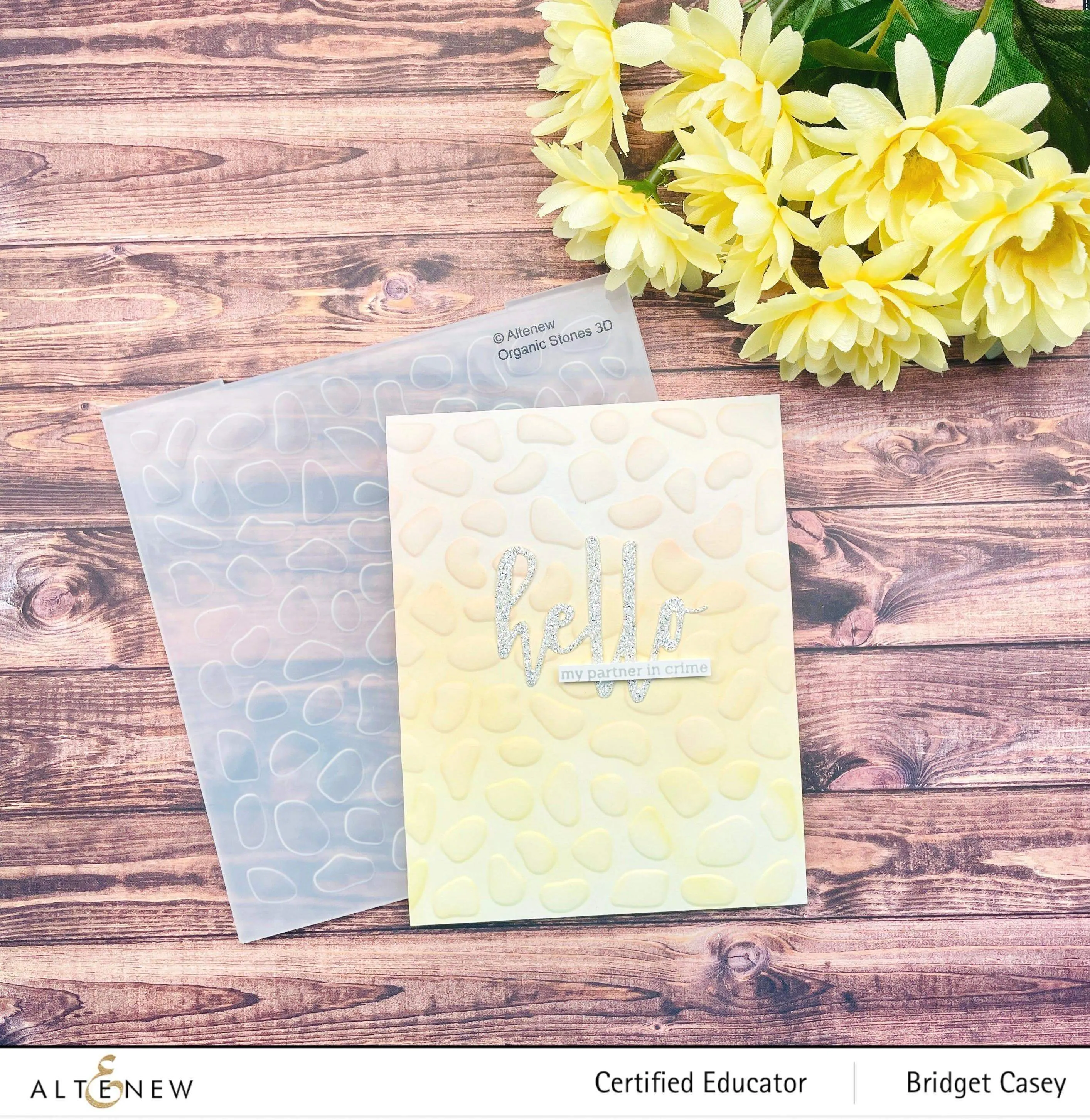 Organic Stones 3D Embossing Folder