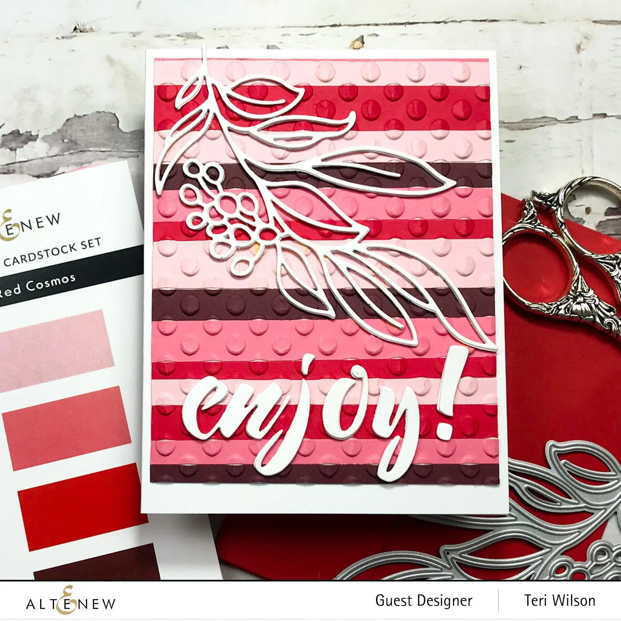 Playful Circles 3D Embossing Folder