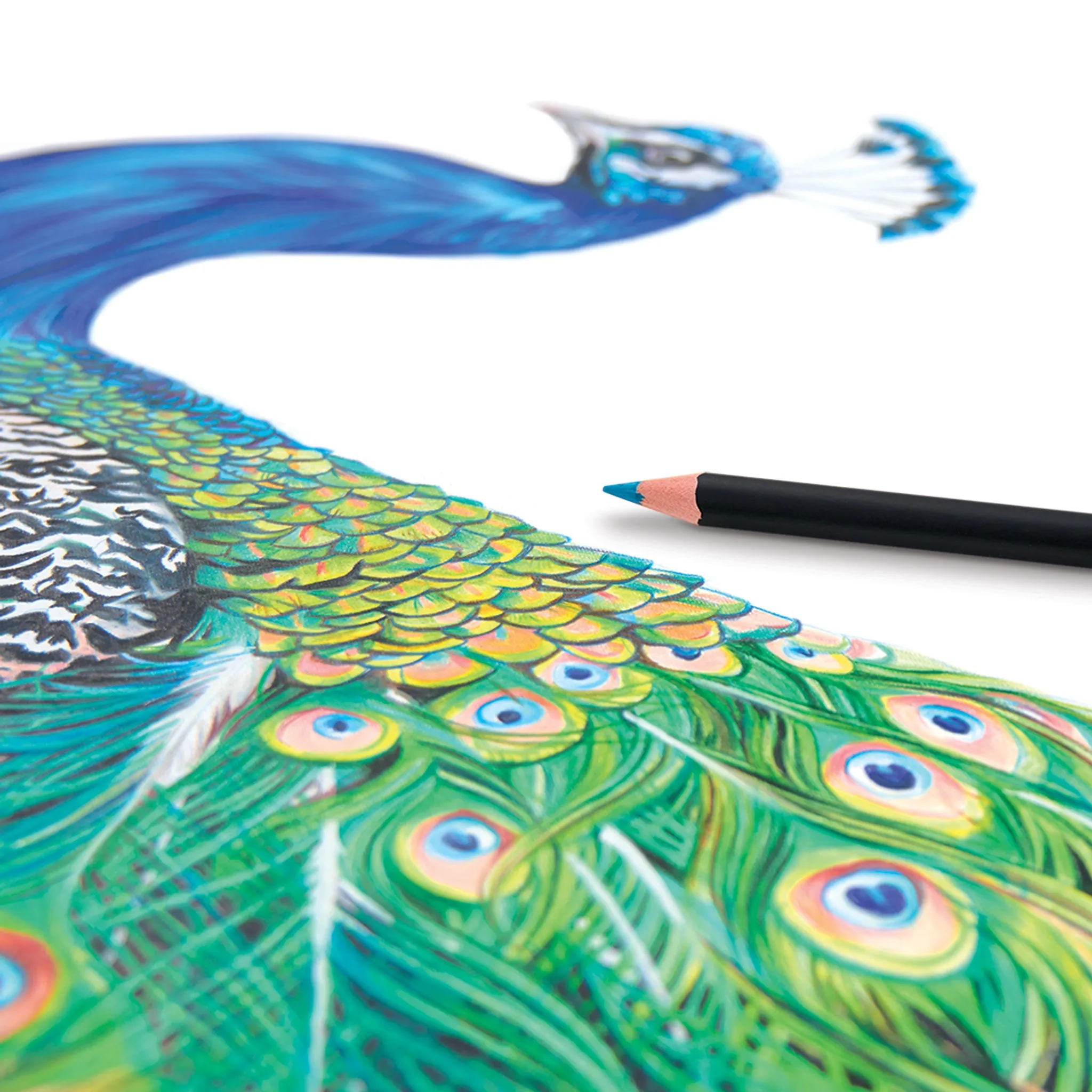 Premium Plus Colored Pencils - Set of 72