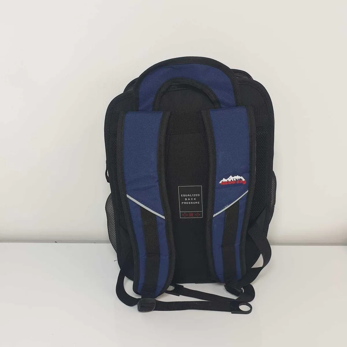 Ridge 2D Pink Purple School Bag