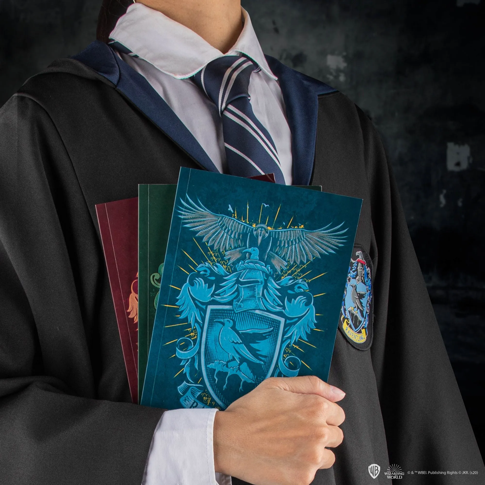 Set of 4 Hogwarts Houses Notebooks