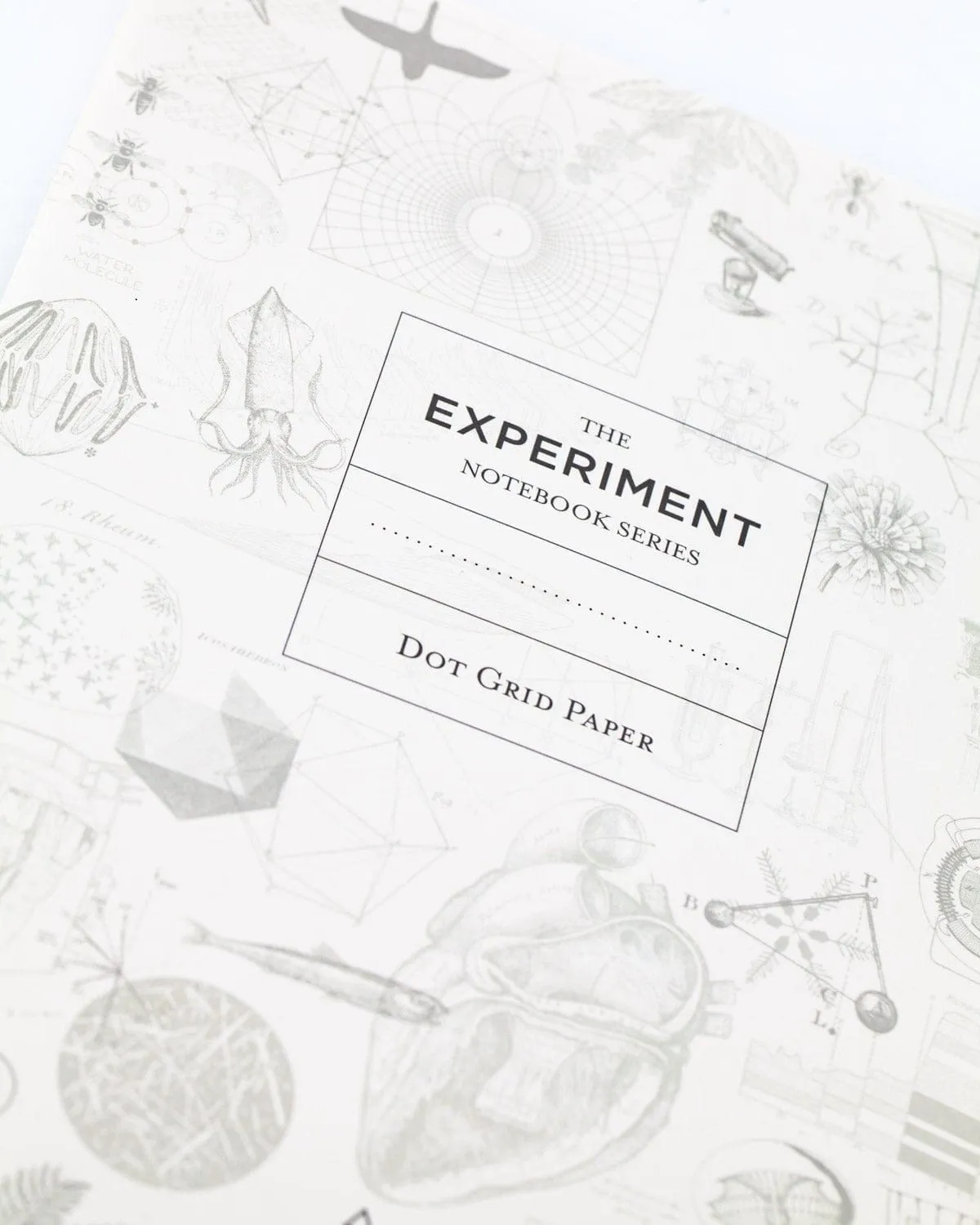 Skeleton & Bones Softcover Notebook - Dot Grid