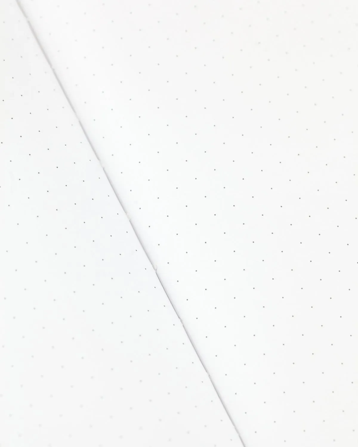 Skeleton & Bones Softcover Notebook - Dot Grid